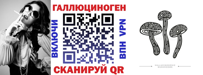 Псилоцибиновые грибы Magic Shrooms  Купить где  Курильск 